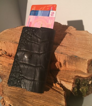 14560058 2d33 46c8 a96a 6e9e39cbec01