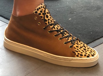 79d3da31 7541 4098 95f0 5e1614ac8ebd